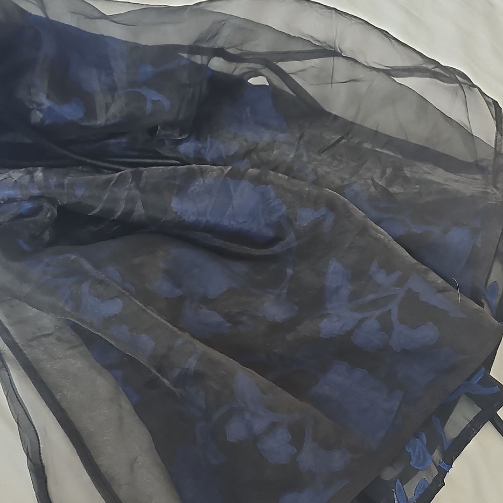 Sheer Black and Blue Lace Chiffon Dress - Picture 4 of 8